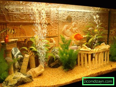 Najneobičniji akvarijumi (16)